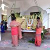 Pongal festival of Alayadivembu Divisional Secretariat-2021